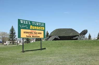Wee'l Turtle